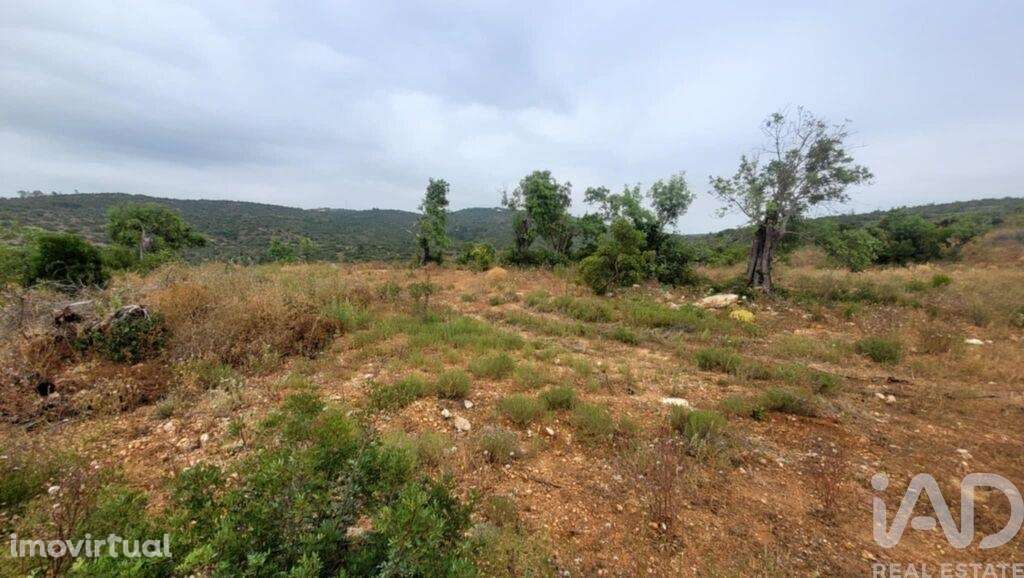 Casa de Campo T2 em Paderne de 118,00 m2 - Grande imagem: 3/5