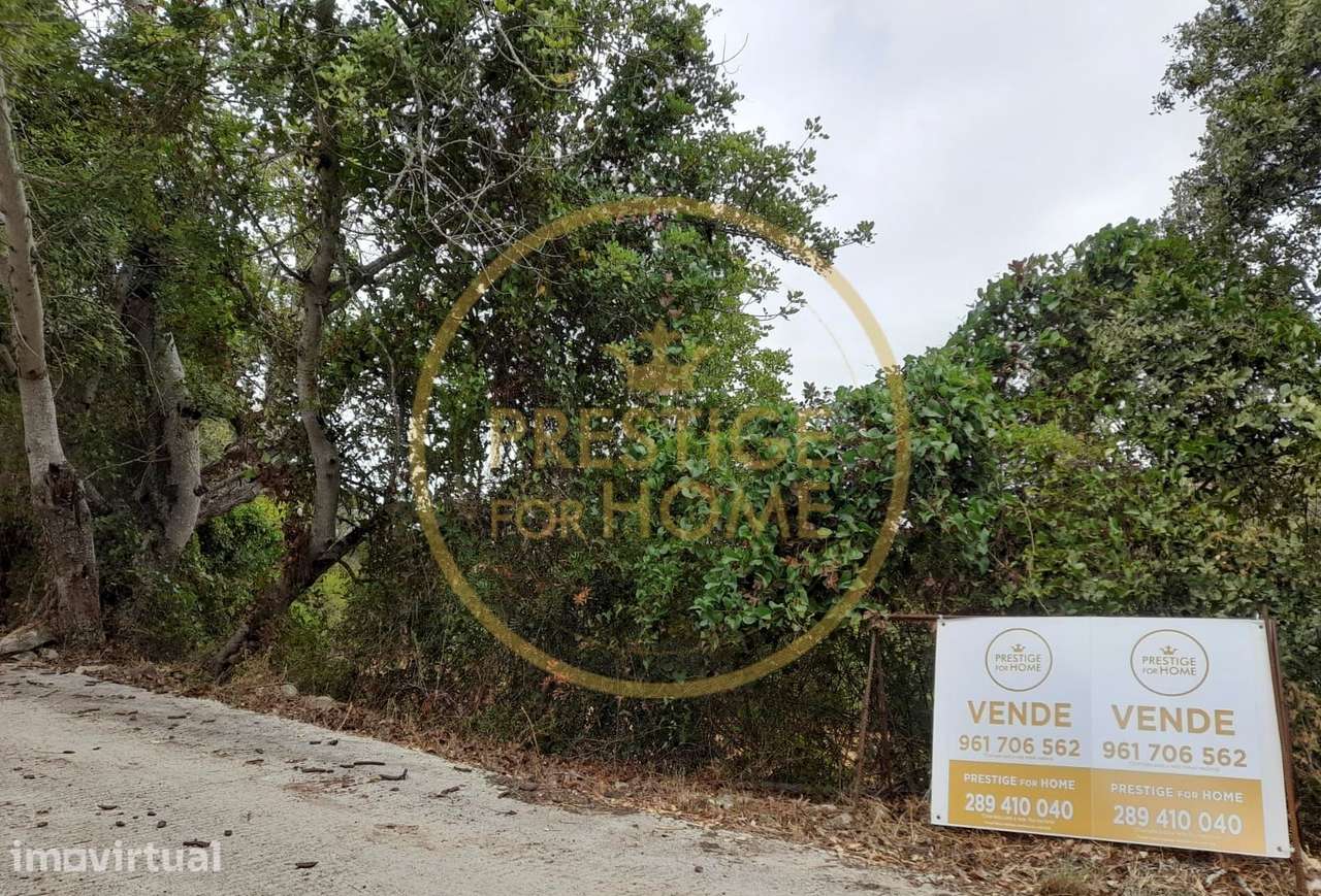 Oportunidade de Investimento: Terreno Agricola de 3.142 m² em Loulé,lo - Grande imagem: 5/7