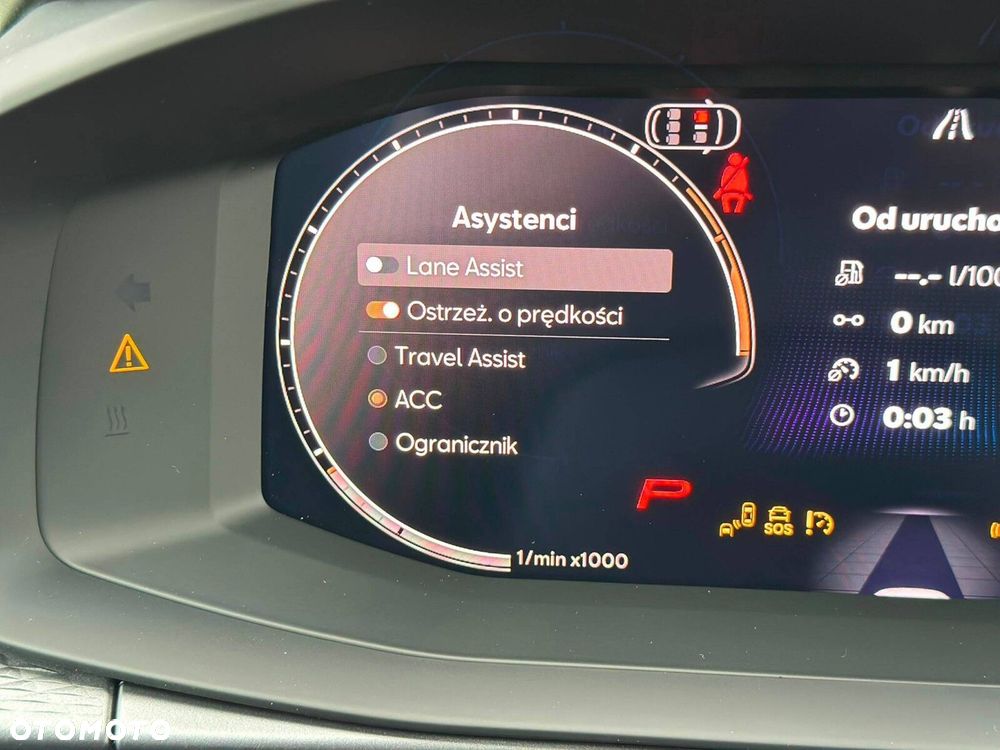Cupra Terramar - 23