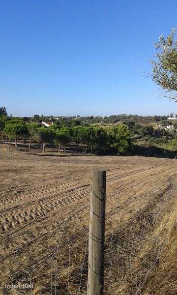 Terreno 7,800 m2  em Azambuja 65.000 € - Grande imagem: 4/7