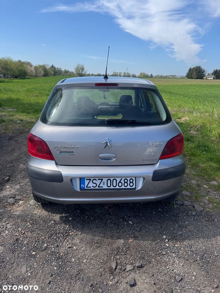 Peugeot 307 - 5