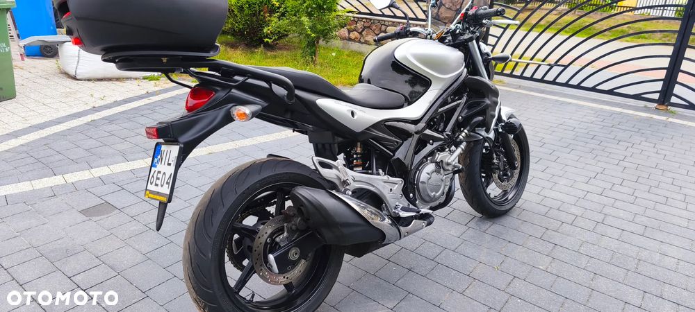 Suzuki Gladius - 3