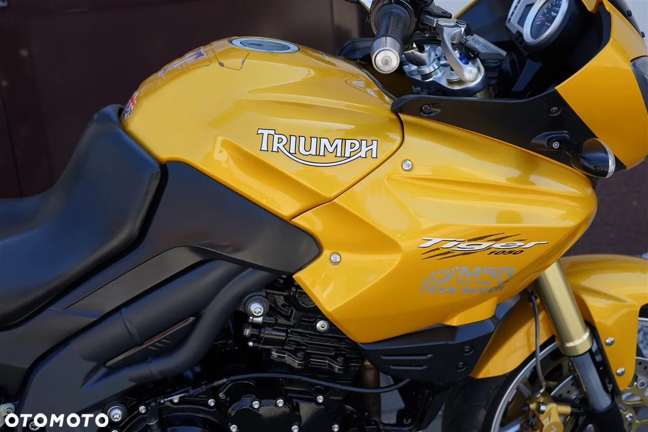 Triumph Tiger - 10