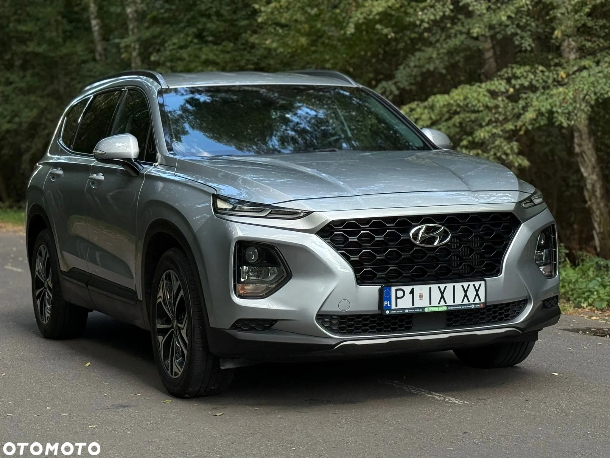 Hyundai Santa Fe - 8