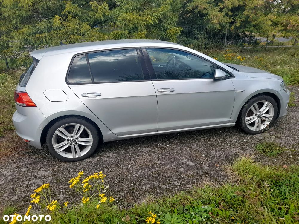 Volkswagen Golf - 12