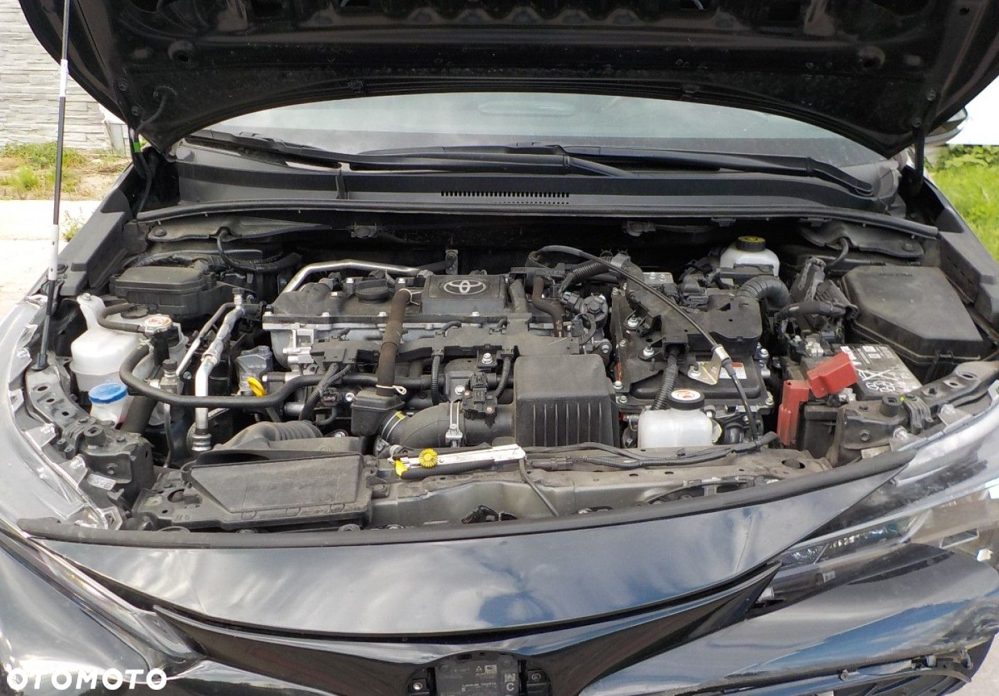 Toyota Corolla - 7