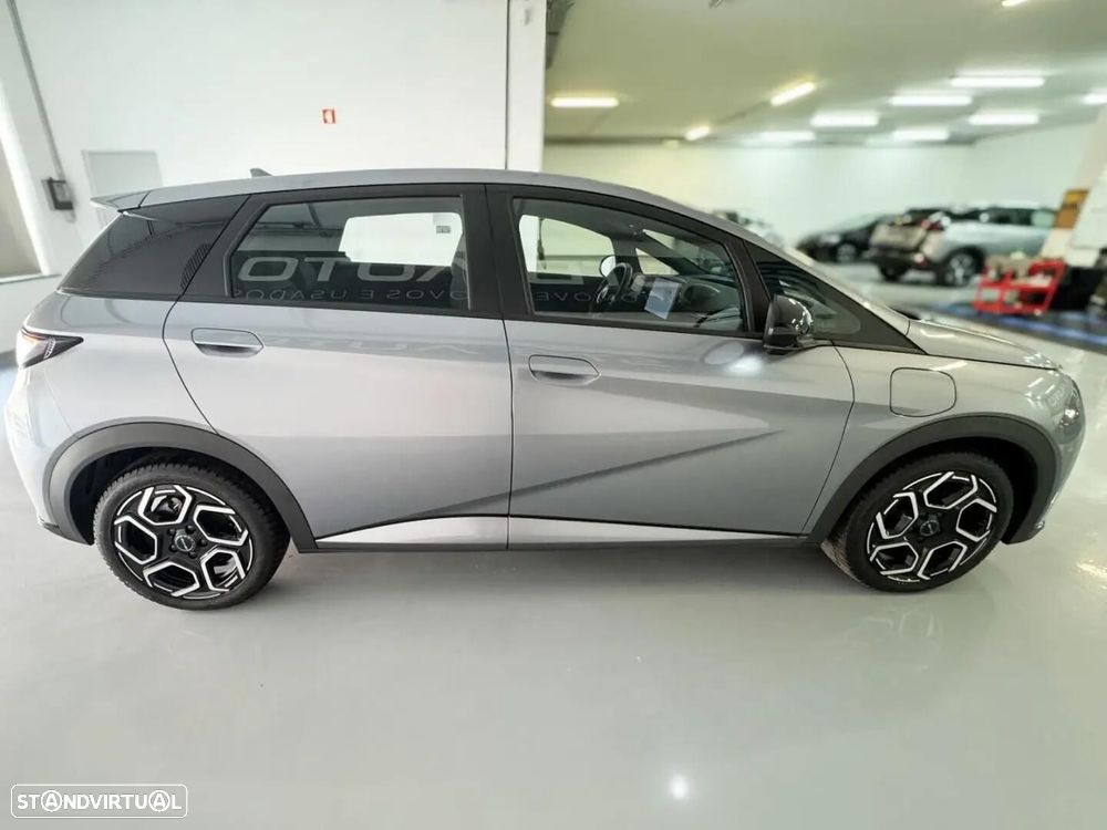 BYD Dolphin - 18