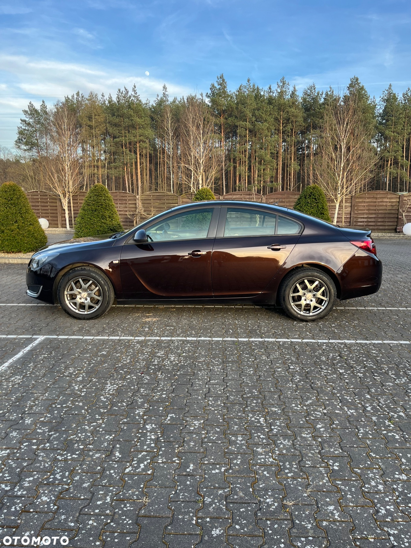 Opel Insignia 2.0 CDTI - 2