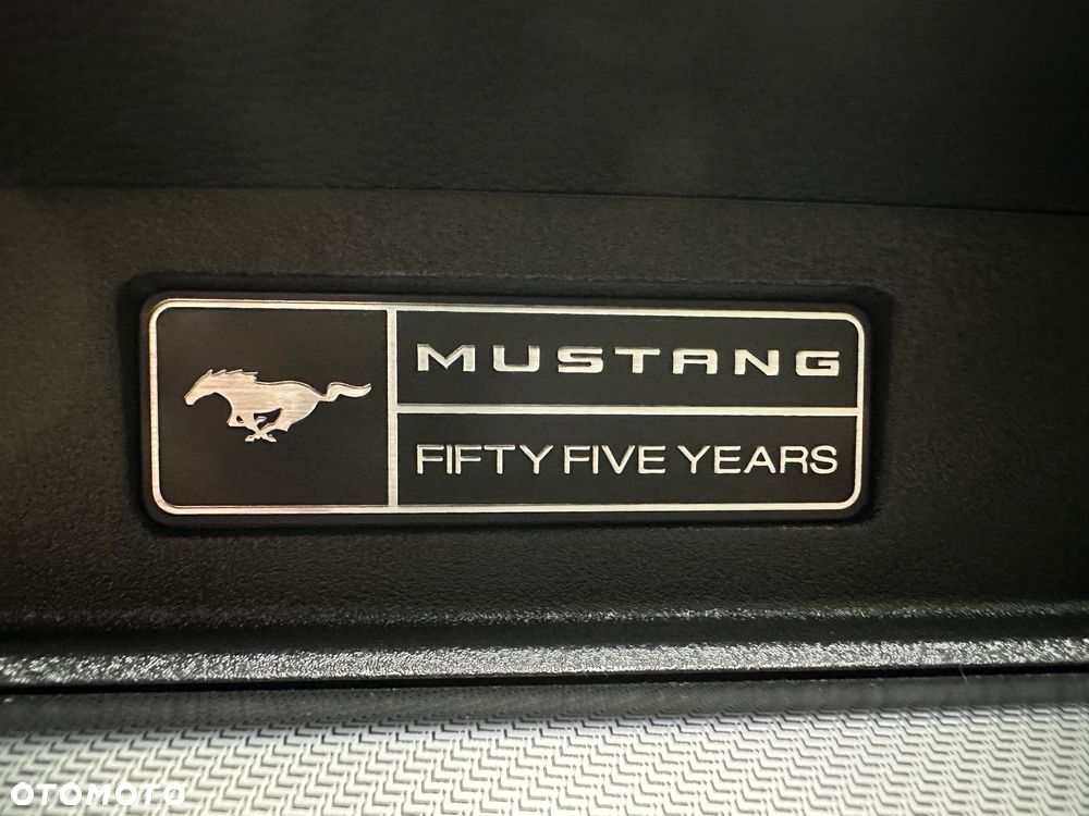 Ford Mustang - 20