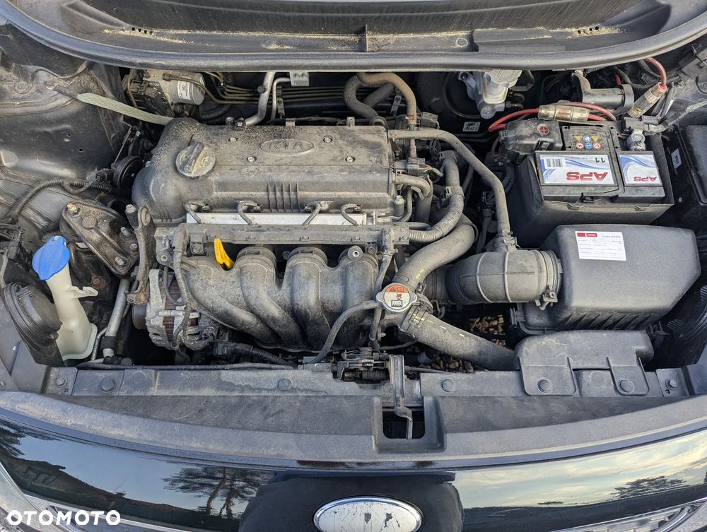 Kia Rio - 15