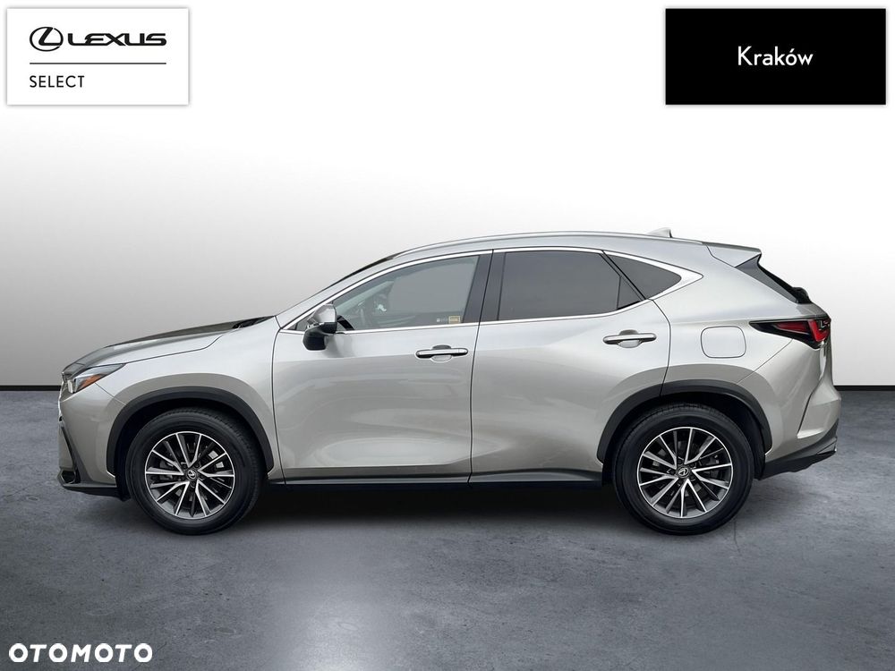 Lexus NX - 2