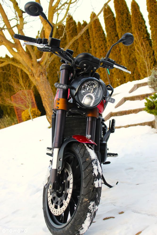 Benelli Leoncino - 2