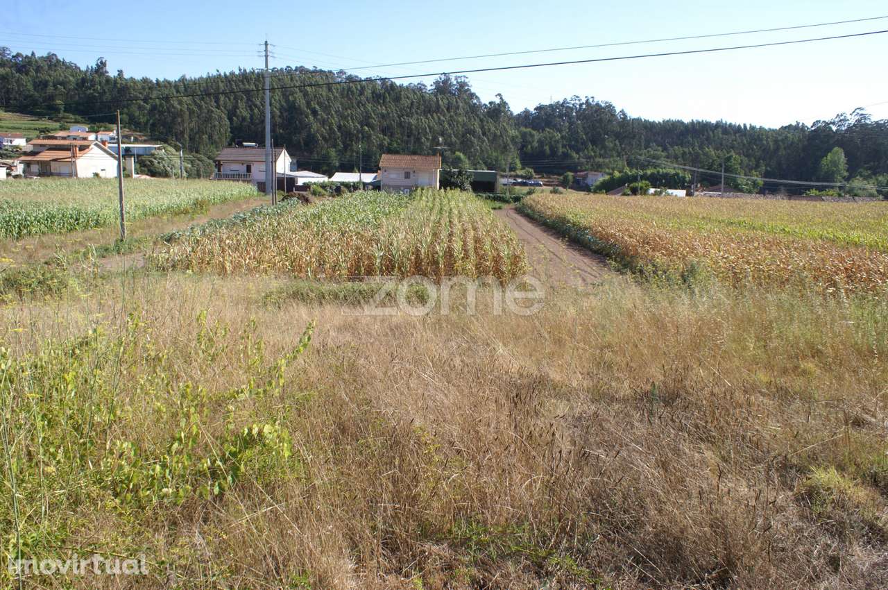 Terreno Urbanizável | Águeda - Grande imagem: 2/16