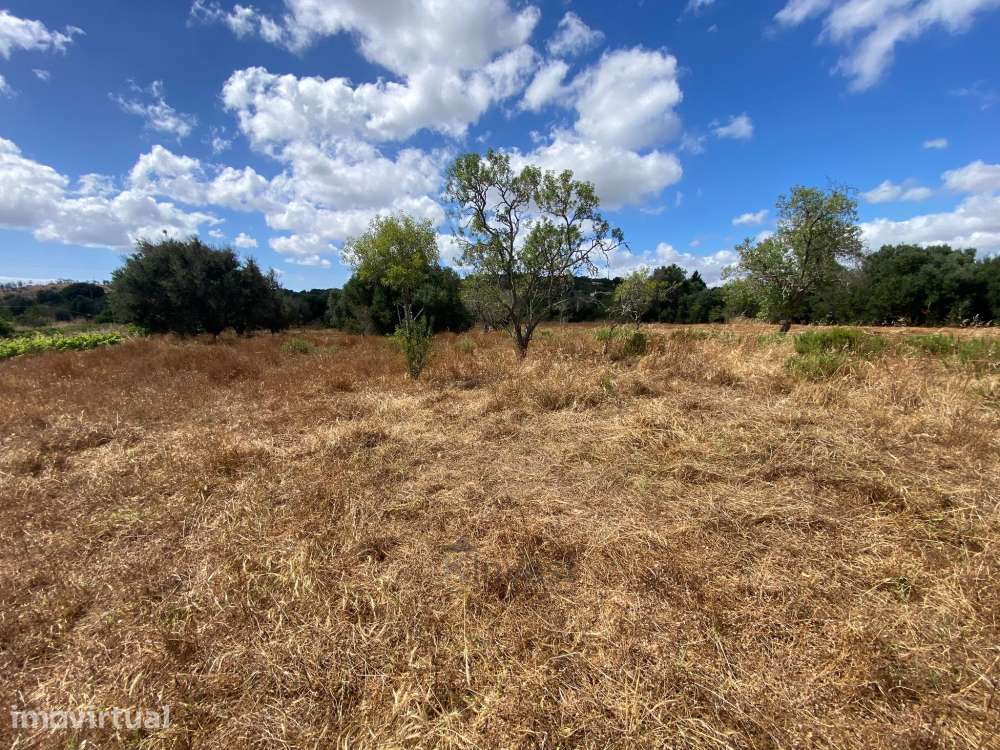 Terreno Misto com Ruína -  Barão de São Miguel, Vila do Bispo - Grande imagem: 4/24