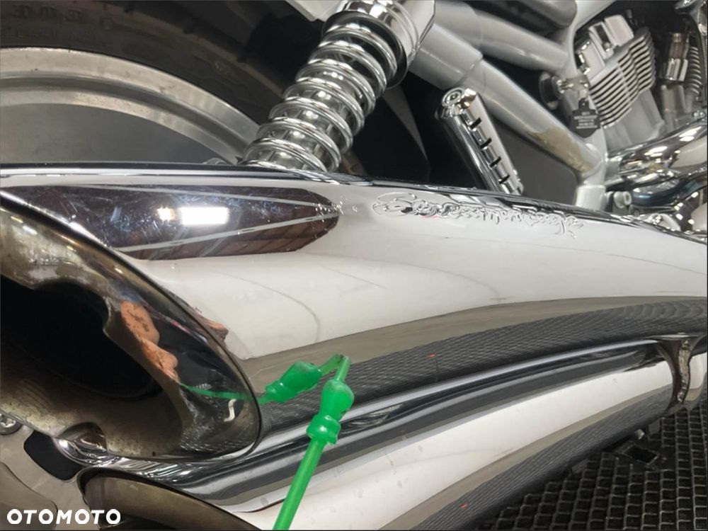 Harley-Davidson Softail V-Rod - 8