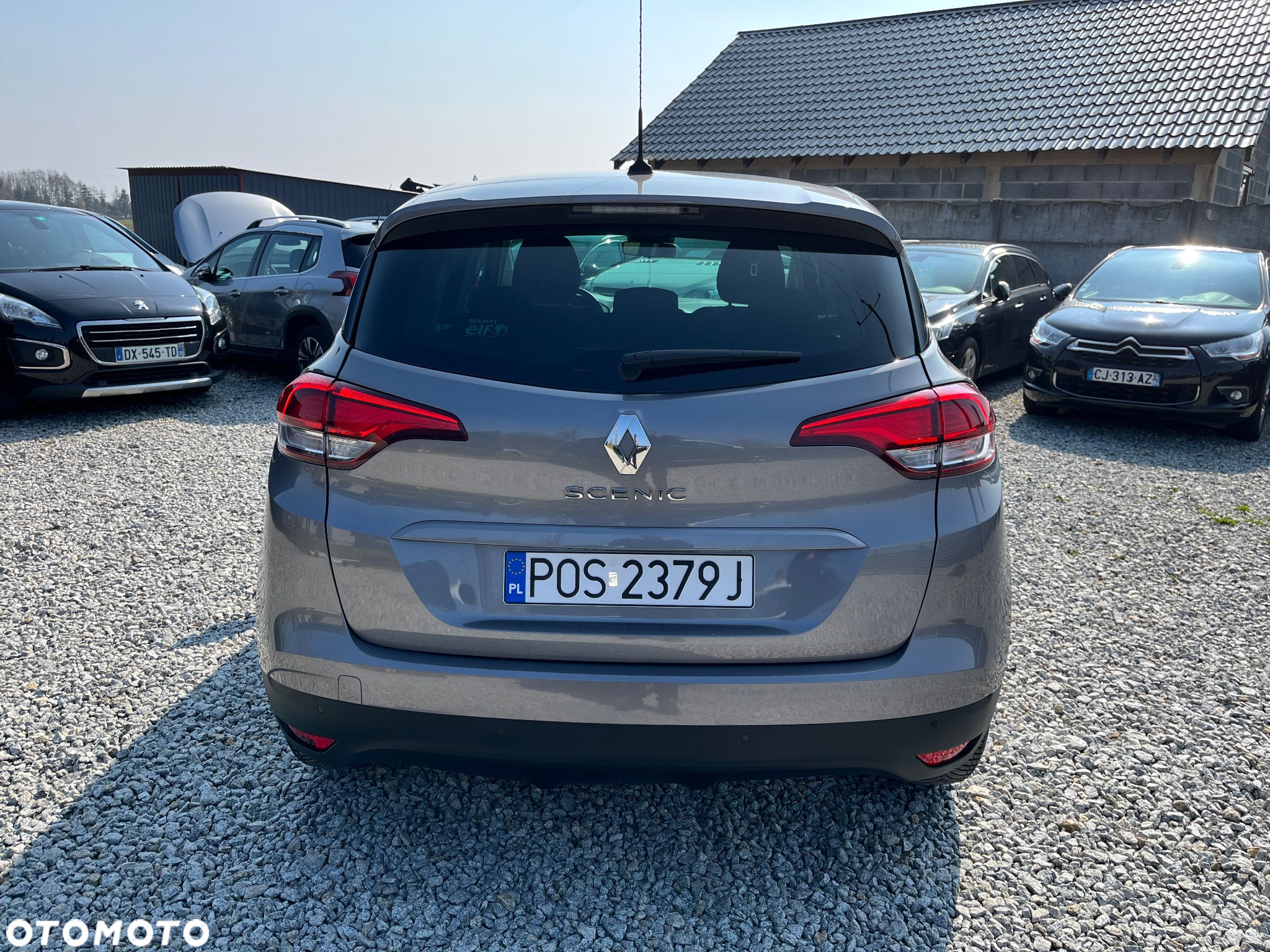 Renault Scenic BLUE dCi 120 EDC BUSINESS EDITION - 5
