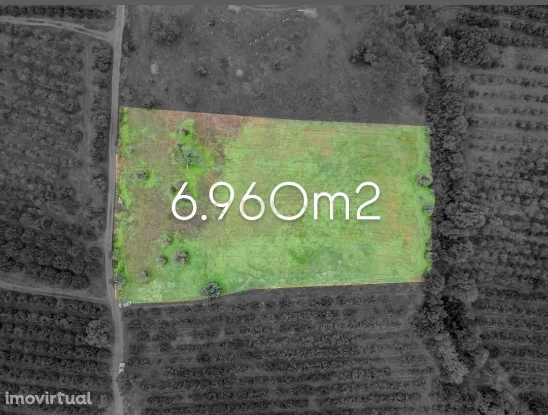 Terreno rústico | 6.960m2 | Castelos -Algoz - Grande imagem: 3/11