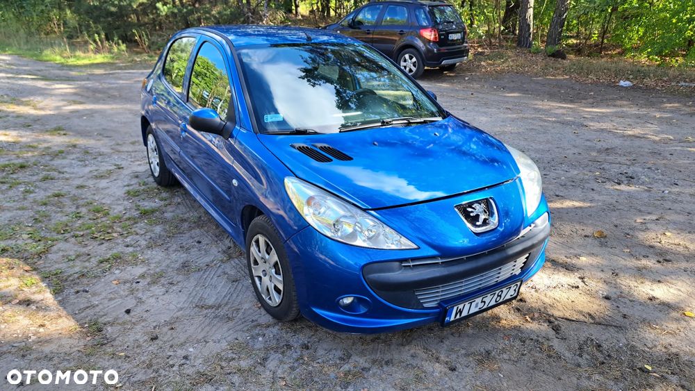 Peugeot 206 plus - 5