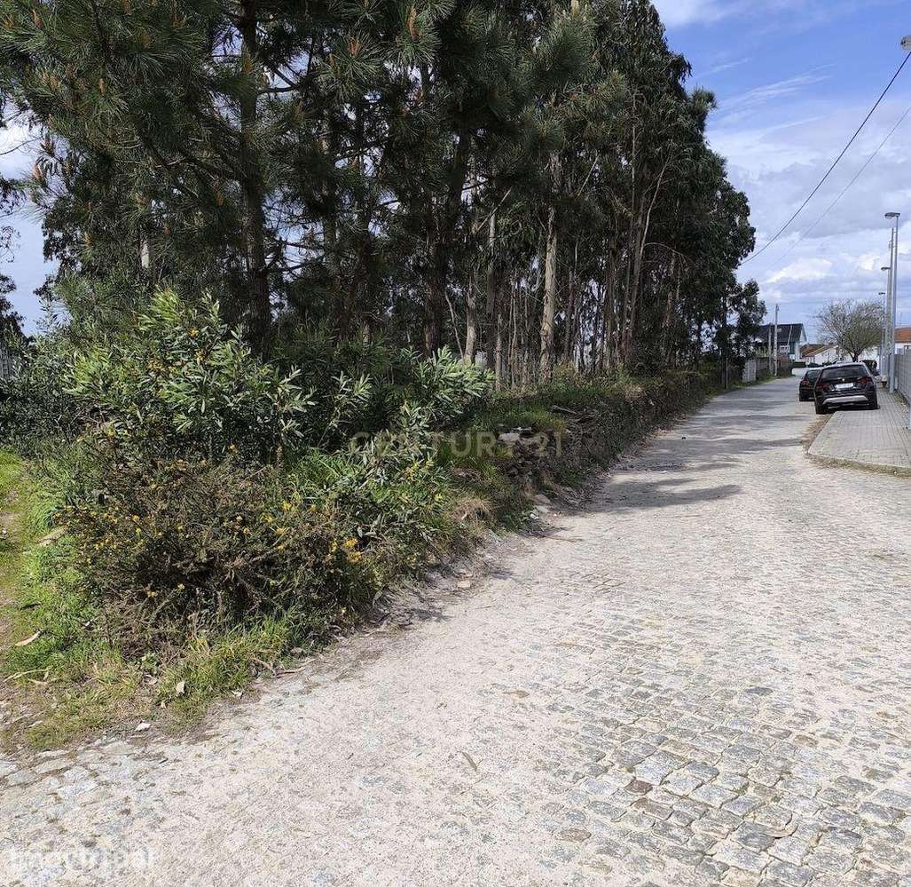Terreno rústico com 1.750 m², situado em Fão, Esposende - Grande imagem: 5/7