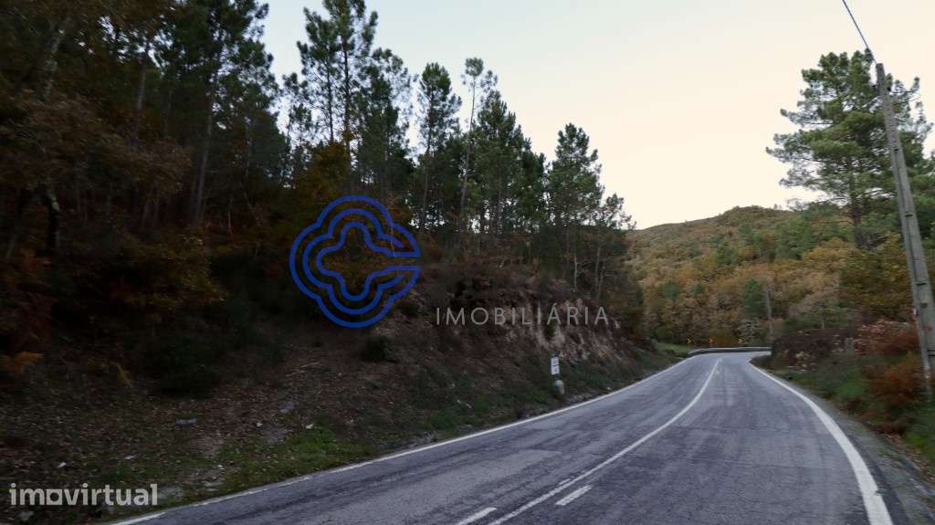 Terreno Florestal - Queimada - Baião - Grande imagem: 5/5