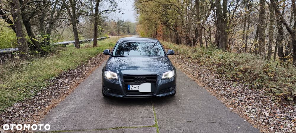 Audi A3 3-drzwiowe - 2
