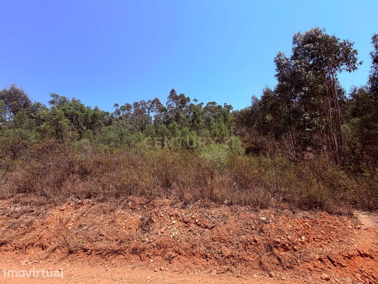 Terreno Rústico – Milhariças, Mouriscas, Abrantes | 4.200 m² - Grande imagem: 3/5