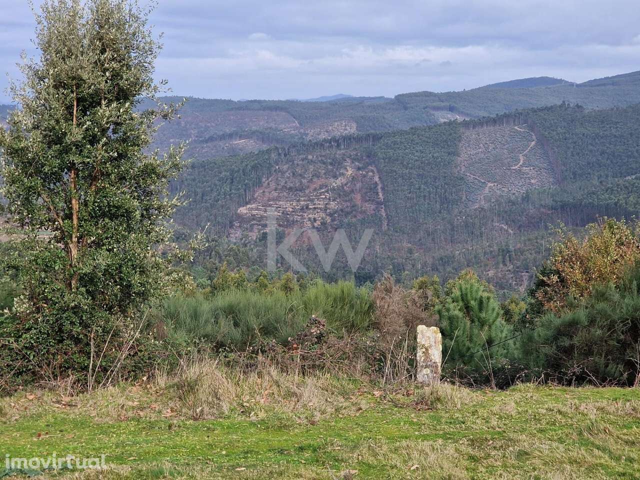 Terreno Rústico de 1.860 m2 em Belece, São Miguel do Mato, Arouca - Grande imagem: 4/12