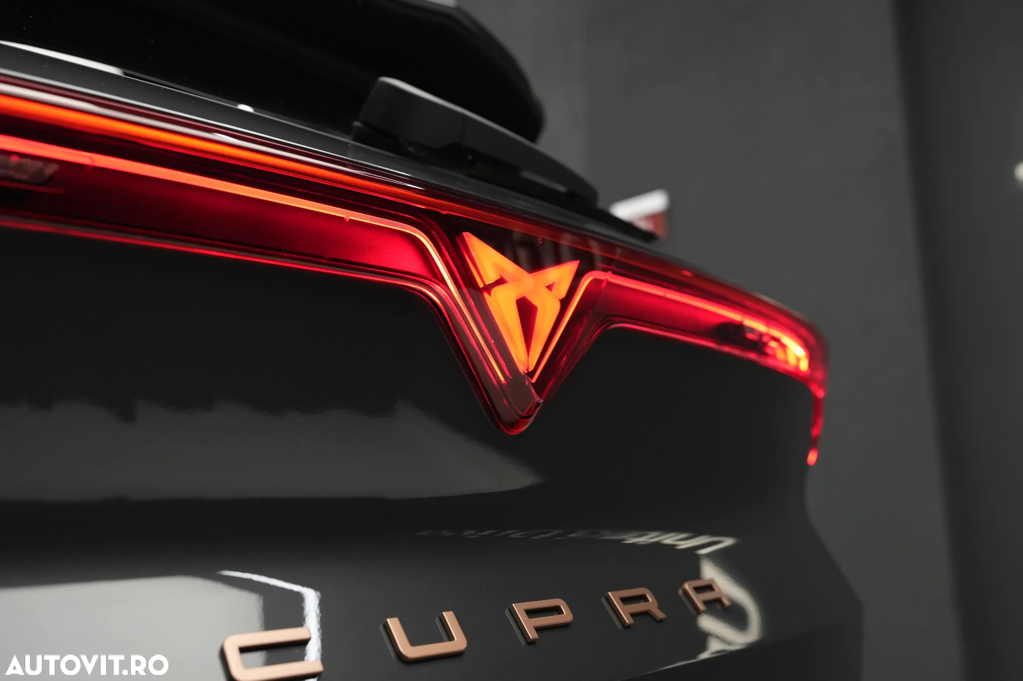 Cupra Terramar - 29