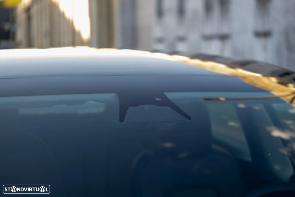 Tesla Model 3 Performance Dual Motor AWD - 24