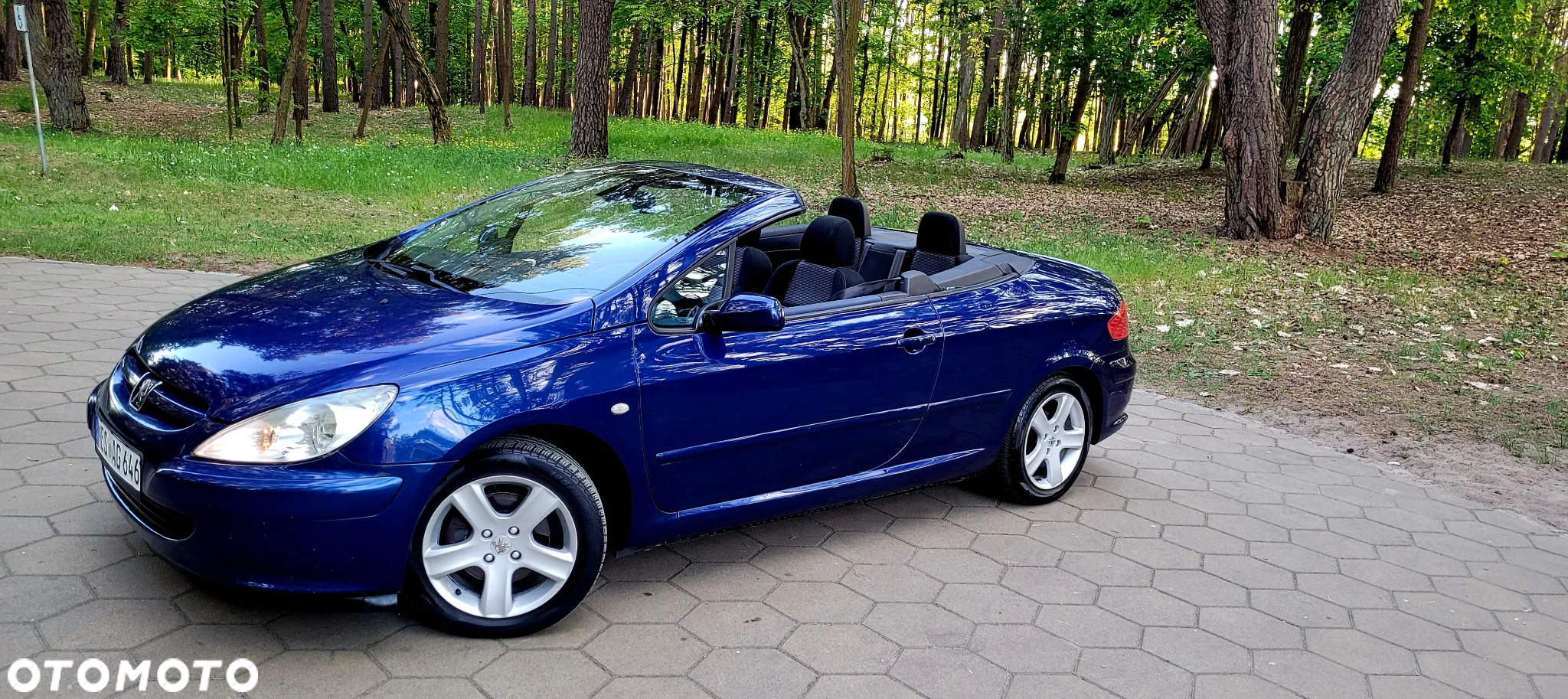 Peugeot 307 135 Sportline - 3