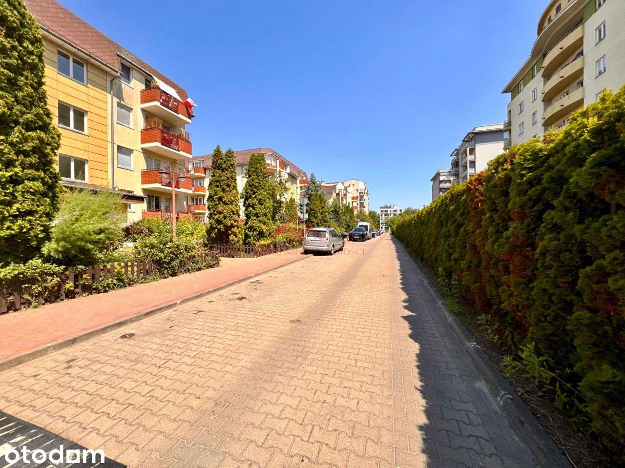 Wynajmę od zaraz. Film i spacer wirtualny w ofercie