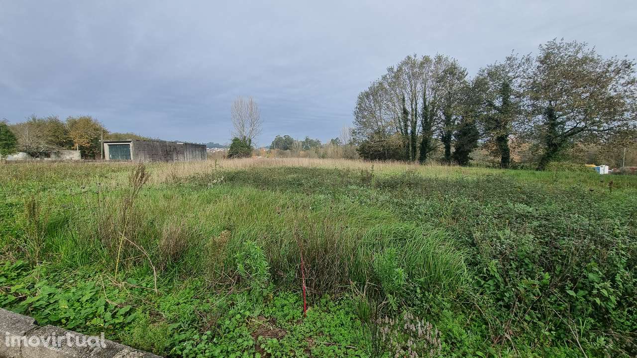 Terreno Rústico em Argoncilhe, Santa Maria da Feira - Grande imagem: 4/13