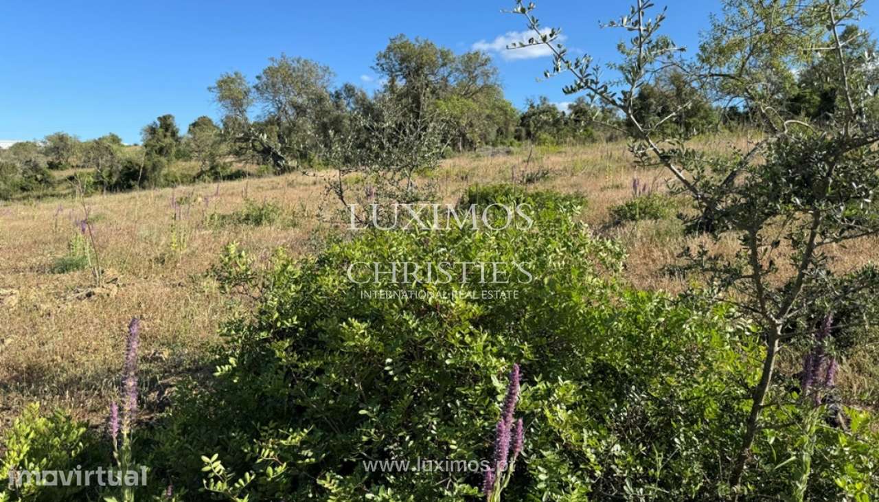 Amplo terreno para venda em Algoz, Algarve - Grande imagem: 3/5