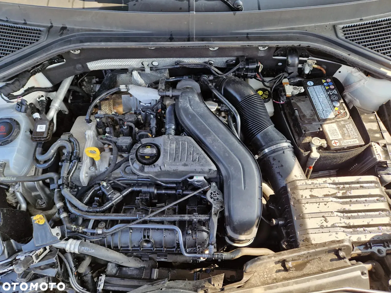 Volkswagen T-Roc 1.5 TSI Life Plus DSG - 17