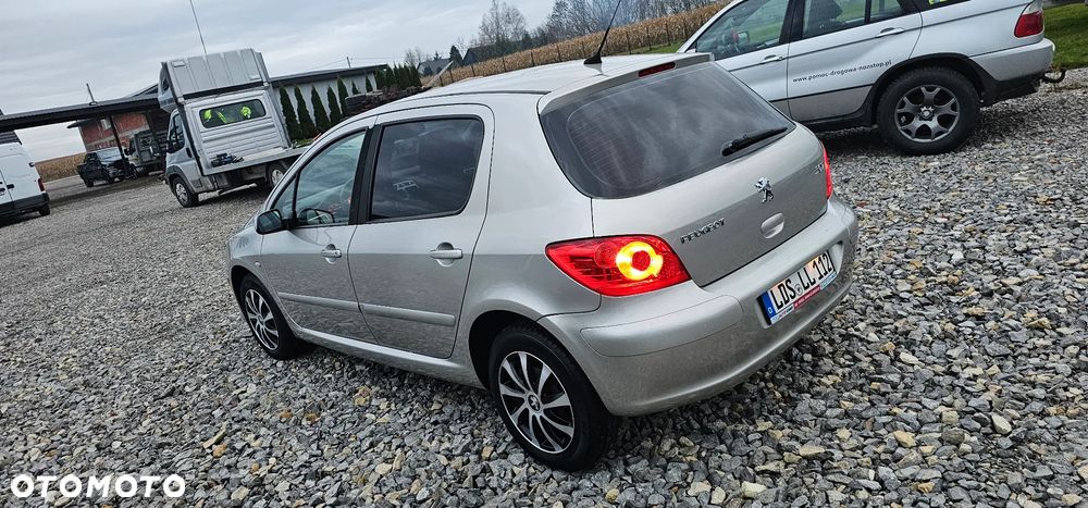 Peugeot 307 Break 110 Premium - 18