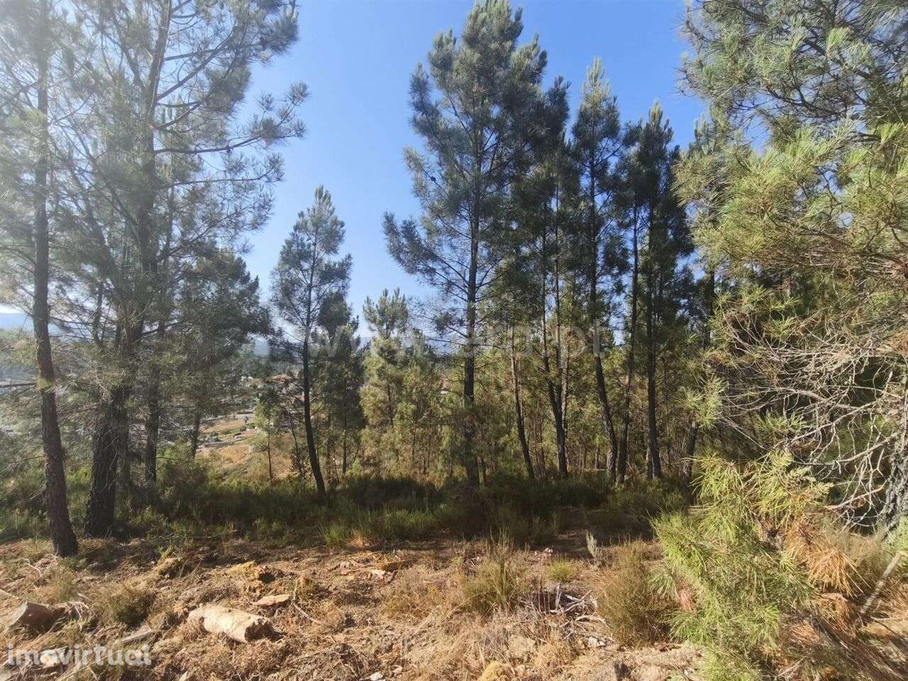 Terreno Rústico / Fundão, Silvares - Grande imagem: 3/6