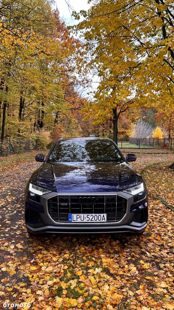 Audi Q8 - 2