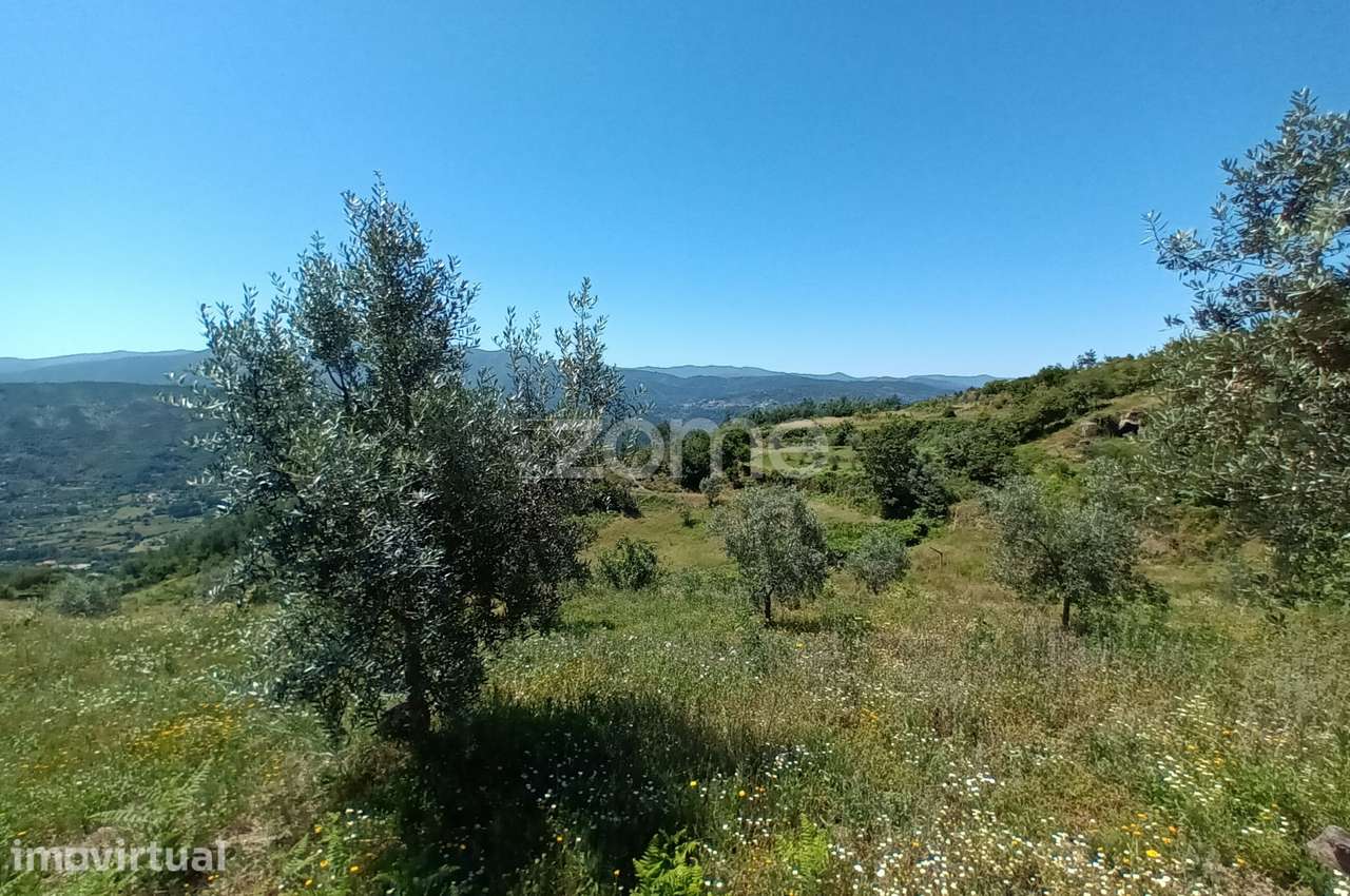 Vende-se terreno Rustico - Grande imagem: 4/6