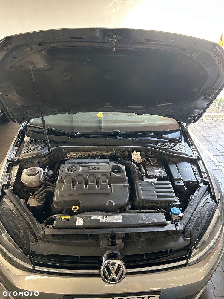 Volkswagen Golf - 14