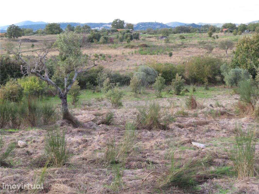 Quinta T0 para venda - Grande imagem: 2/26