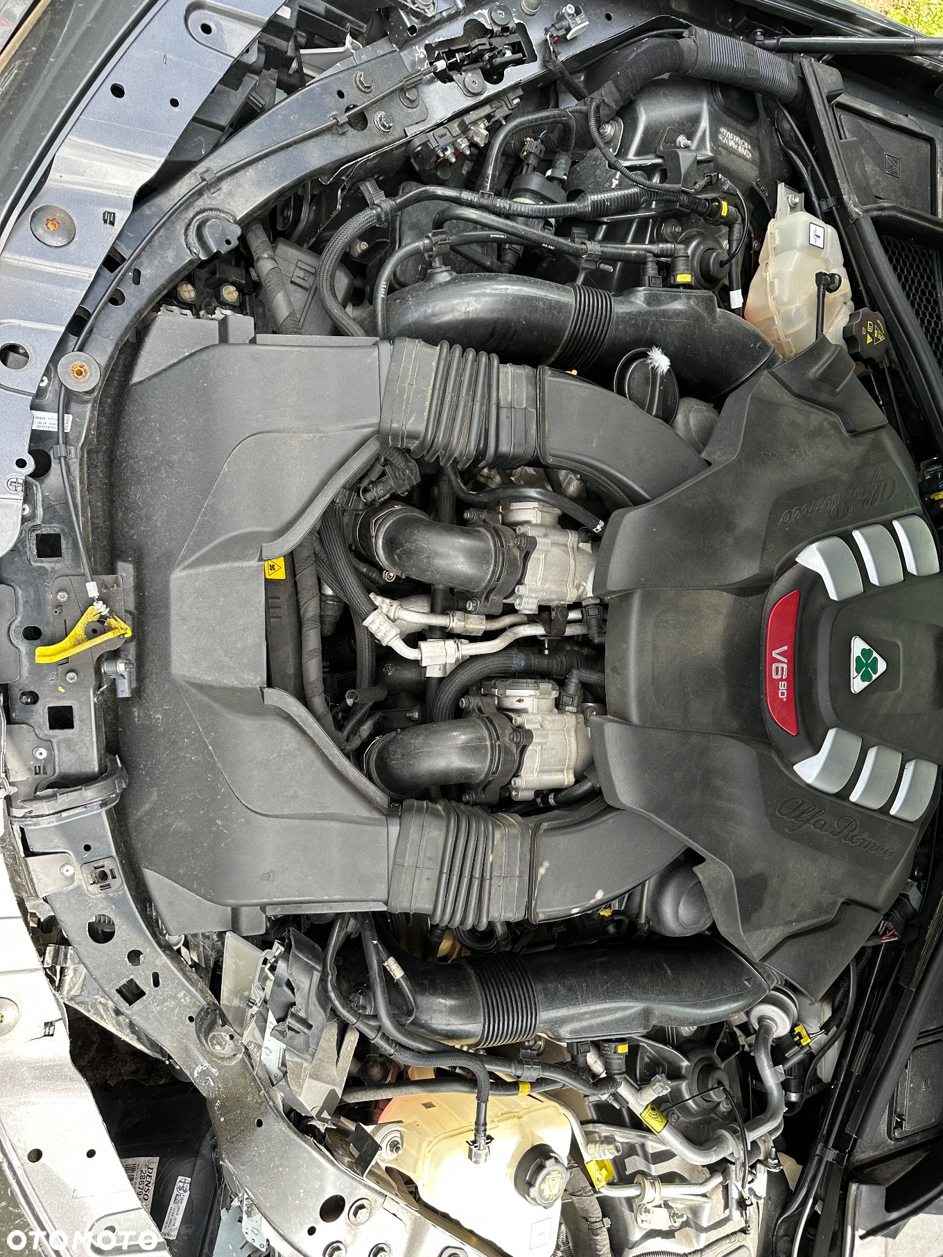 Alfa Romeo Giulia 2.9 Bi Turbo V6 Quadrifoglio - 5