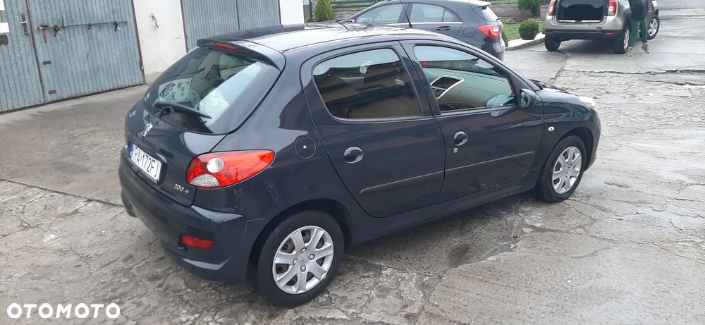 Peugeot 206 plus - 24