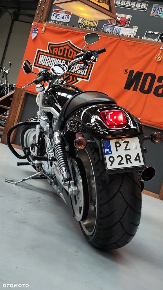 Harley-Davidson Softail V-Rod - 8