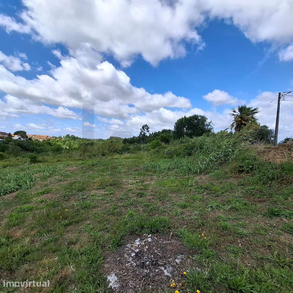 Quinta do Formigal: 2 Hectares com Potencial Turístico e Agrícola em S - Grande imagem: 3/13