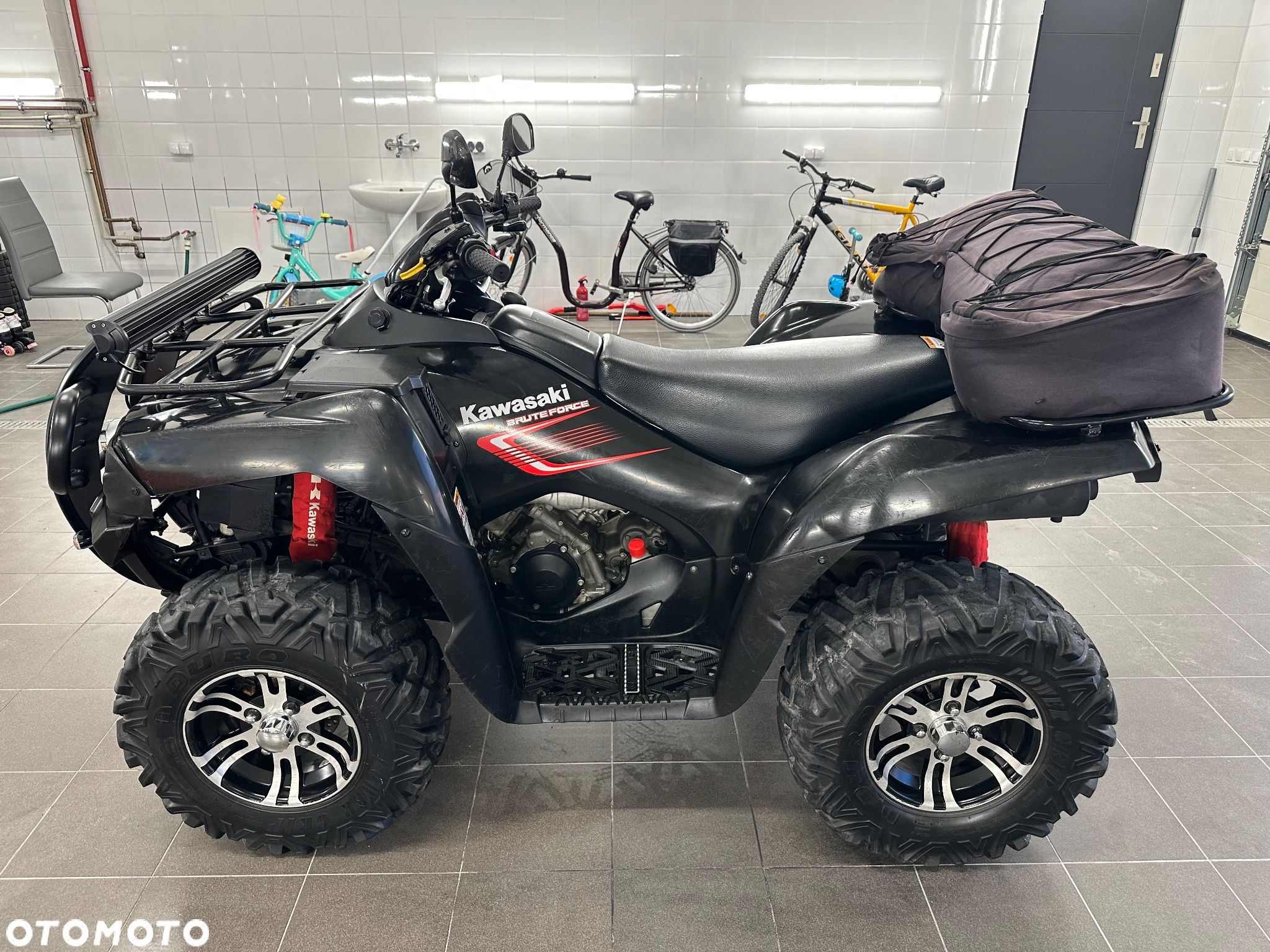 Kawasaki Brute Force