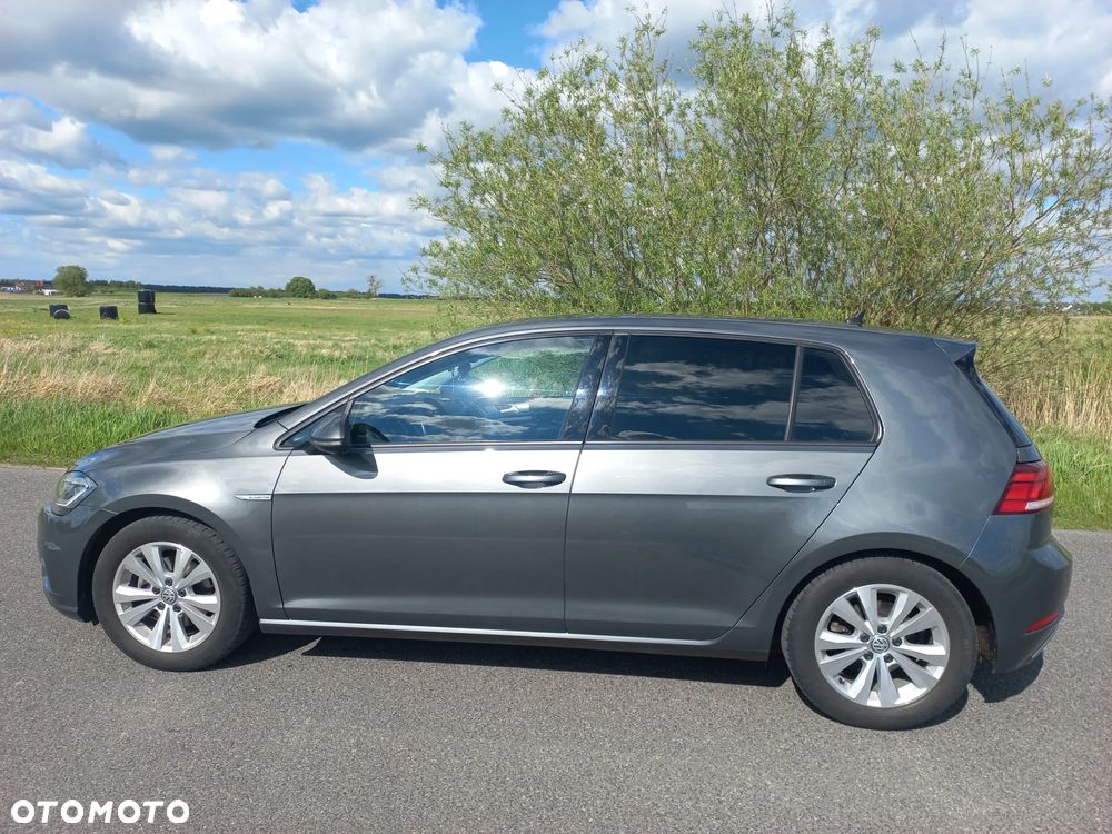Volkswagen Golf - 7