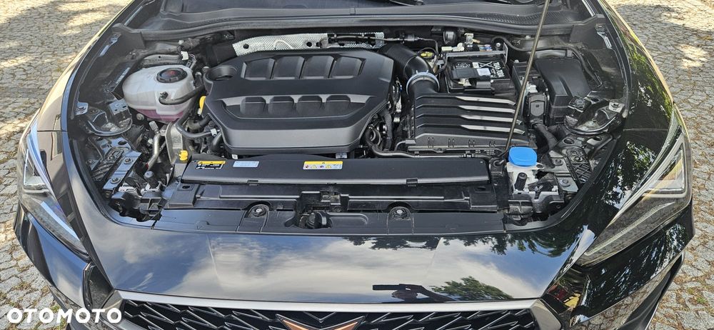 Cupra Leon 2.0 TSI DSG VZ Tribe Edition - 24