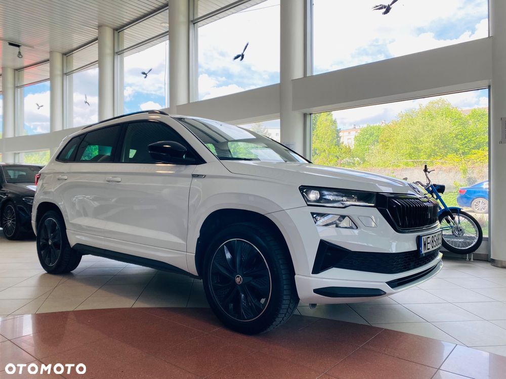 Skoda Karoq - 10