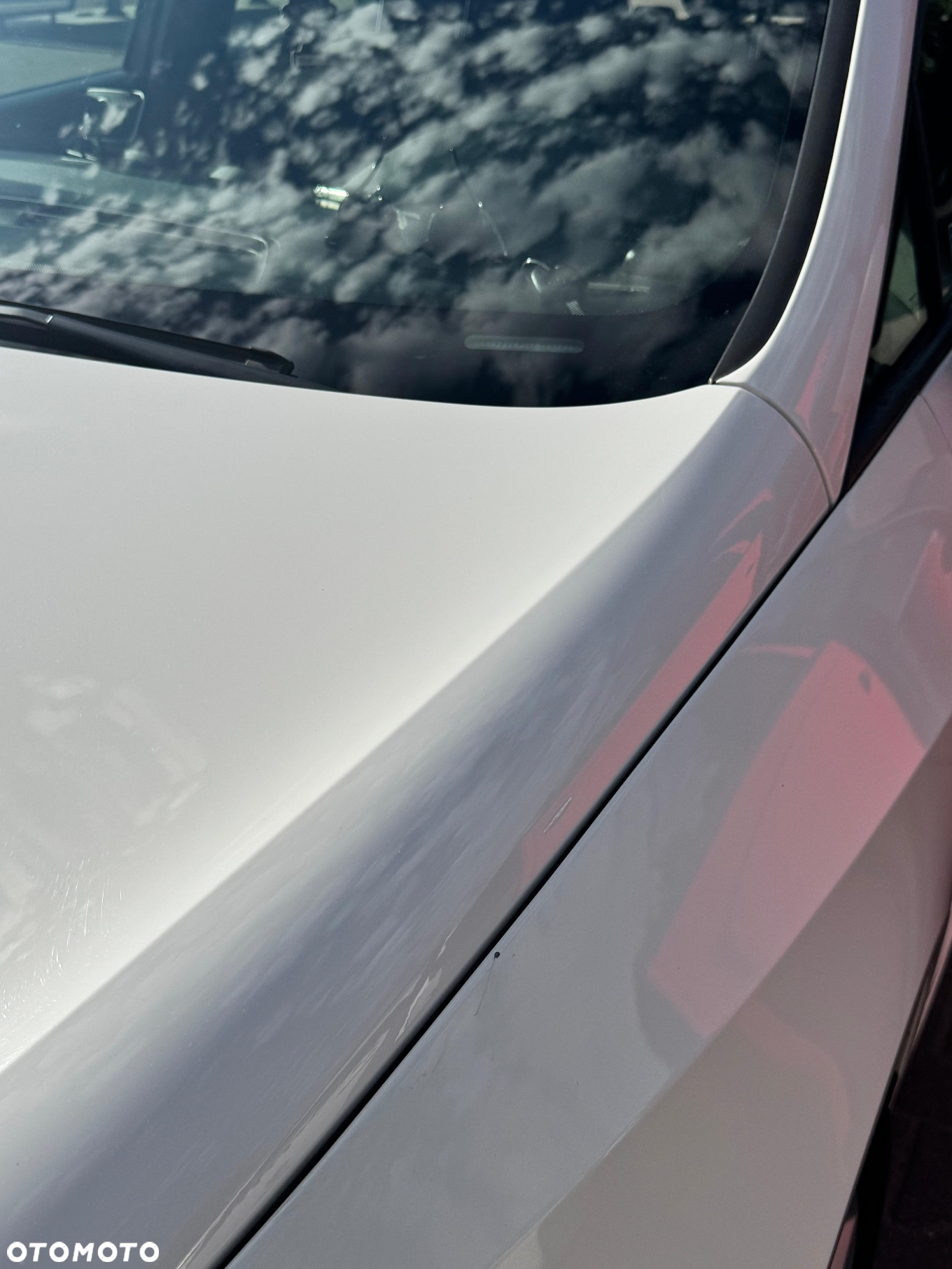 Seat Ibiza 1.2 TSI Style - 8
