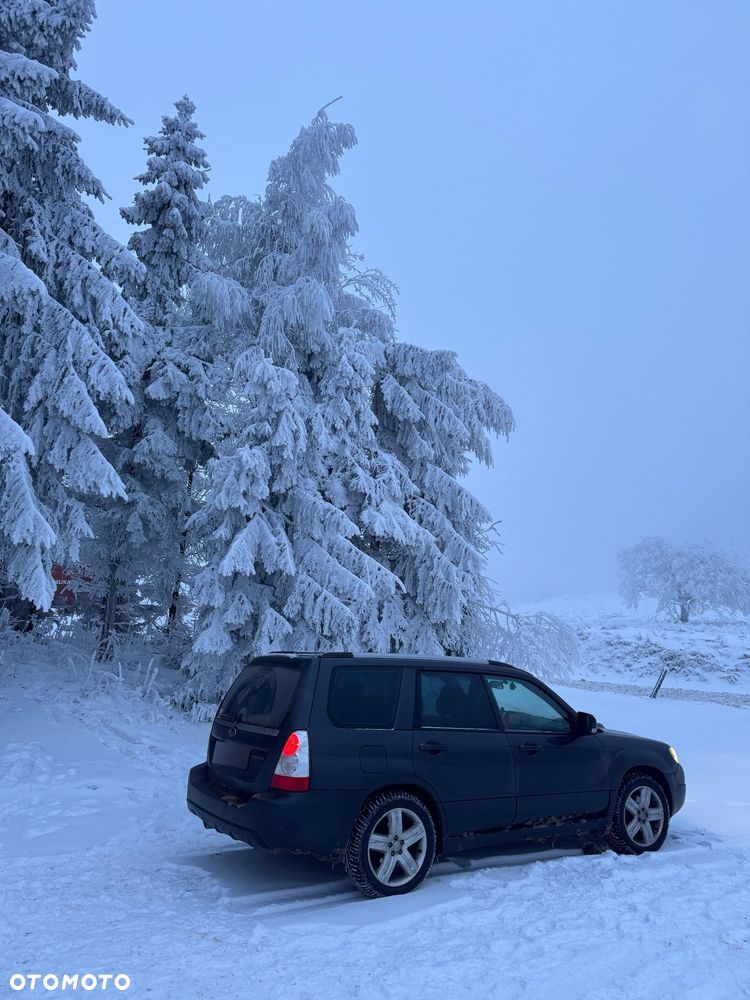 Subaru Forester 2.5XT Automatik Turbo - 12